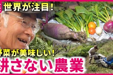 【大注目】水も肥料やらない!? 甘くて美味しい野菜ができる"耕さない農業"とは『every.特集』