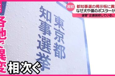 【都知事選に波紋】“掲示板ジャック”なぜ？  犬・猫・裸のポスターも…  政見放送にも異例の事態