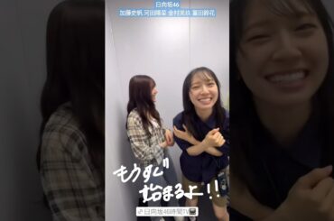 加藤史帆 イチャつくおみくとおひな♪河田陽菜 金村美玖 富田鈴花 日向坂ちゃんねる