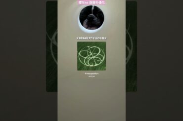 齋藤冬優花 本日の1曲♪ aespa Armageddon 2024年7月1日