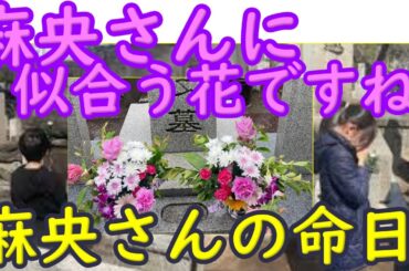 麻央さんに似合う花ですね。団十郎さん、麗禾さん、勧玄くん、麻央さんのお墓参り。