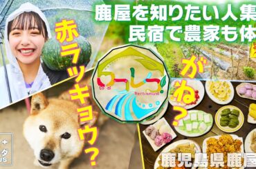 【山之内すずin鹿児島・鹿屋市】心も体も元気になる農家民宿！〈ロコレコ！〉