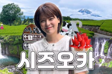 [SUB] 도쿄 근교 소도시 여행 🚞 후지산뷰 힐링 코스! | Trip Diary in 시즈오카현 1편 | 후지 밀크랜드, 시라이토 폭포, 타누키 호수, 일본 가족여행