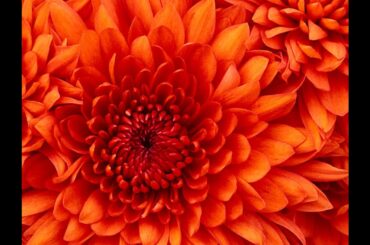 ６月２９日　ななサタ