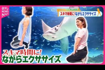 【おはフィットネス】スキマ時間にできる！ながらエクササイズ  東京の涼編⑤