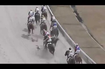 藤岡康太騎手　落馬により死去されました。ご冥福をお祈りします・・・。