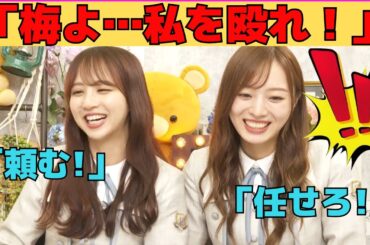 【梅澤美波・佐藤楓】梅に殴るようお願いするでんちゃん/文字起こし（乃木坂46・猫舌showroom）