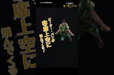7/24開幕！今年もピーター・パンの季節がやってきた✨ #ピーターパン2024