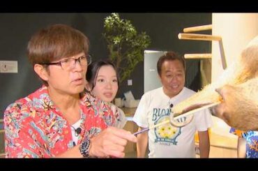 【モヤさま】さまぁ〜ず&田中瞳アナ、沖縄&石垣島へ！『モヤモヤさまぁ〜ず２ やっぱりTHEリゾート めんそ〜れ！沖縄＆石垣島2024』予告編