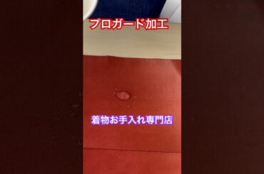 #プロガード加工　#着物　#安心　#着物お手入れ　#shorts