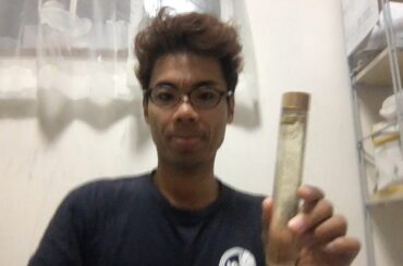 【ライブ配信 vol.163】今月は丸洗い・しみ抜きキャンペーンです！の巻