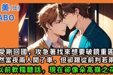 【耽美】受剛回國，攻急著找來想要破鏡重圓，雖然當夜受就跟攻開了車，但是卻跟從前判若兩人，以前軟糯聽話想求攻標記，現在卻像朵高嶺之花不讓人靠近。#雙男主  #男男  #耽美  #BL #同志  #廣播劇