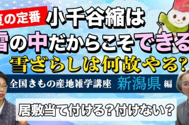 キモノ雑学講座・夏に便利な小千谷縮👘そのルーツと謎に迫る❗第二弾【着物・雑学#117】