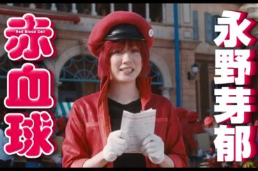 阿部サダヲ「愛菜ちゃんって呼んでいたのですが、いまや芦田さんですね（笑）」芦田愛菜と10年ぶりに共演！『はたらく細胞』予告編