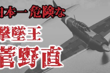 【日本一ヤバい撃墜王】敵も味方も恐れた撃墜王！！イエローファイターと恐れられた菅野直【大東亜戦争】【太平洋戦争】
