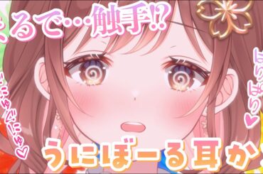 【ASMR】まるで触手…!?うにボールでぐにゅぐにゅ粘着耳そうじ♪