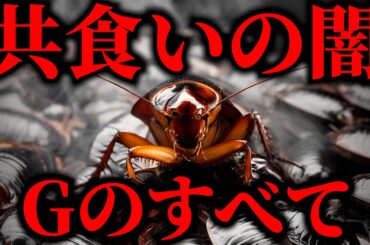 ゴキブリのすべて【科学的解説】