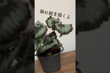 鉢に絵を描くよ