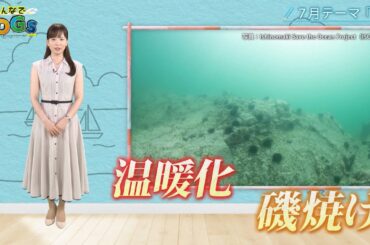 みんなでSDGs #14 |2024年7月4日放送