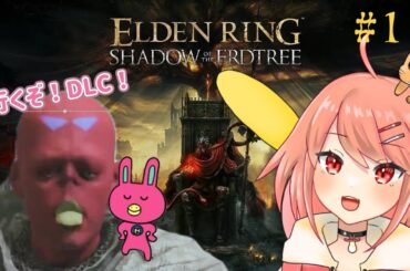 【ELDEN RING】DLC完全初見。帰ってきた筋力99ノバウサギ #1【steam版】