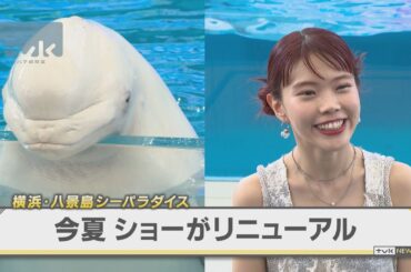 アイナ・ジ・エンドも登場！横浜・八景島のショーがリニューアル