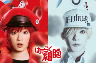 「はたらく細胞」永野芽郁・佐藤健W主演で実写映画化！『はたらく細胞』超特報