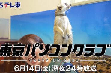 【予告】 東京パソコンクラブ～プログラミング女子のゼロからゲーム作り～ #085 | ＢＳテレ東