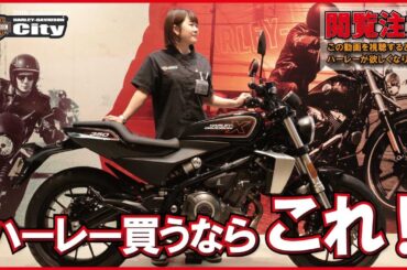 【ハーレー買うならこれ！】普通二輪免許で乗れるハーレー！X350をご紹介【一押し車両】