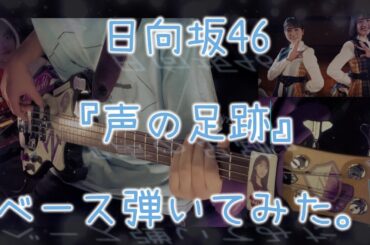 日向坂46『声の足跡』ベース弾いてみた。