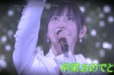 Juice=Juice 植村あかり 卒業公演に密着！