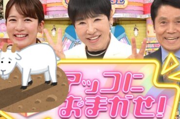 TBS局内で混乱！ 宇内アナ、選挙特番で"暴走発言"の真相は？