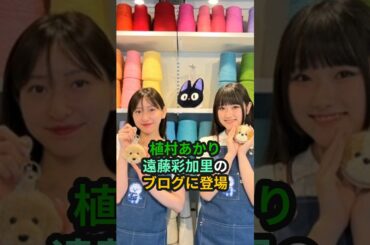 植村あかり、遠藤彩加里のブログに登場 #ハロプロ #juicejuice  #植村あかり #遠藤彩加里 #あーりー #あかりんご #タフティング #shorts