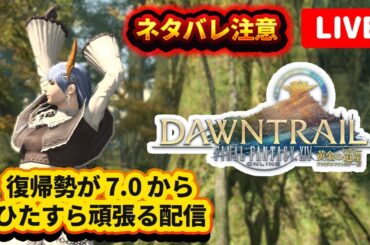 【ネタバレ注意！生配信】240711 FINAL FANTASY 14 〜黄金の遺産（レガシー）〜 成長日記♪ 【PC】