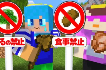 いきなり○○が禁止になる世界【まいくら / マインクラフト】
