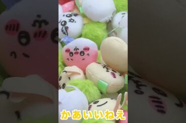 そんなことある？？？【＃ゆずてん】＃ちいかわ　＃ハチワレ　＃うさぎ　＃草　＃UFOキャッチャー　＃ゲームセンター　＃ちいかわらんど　＃神プレイ