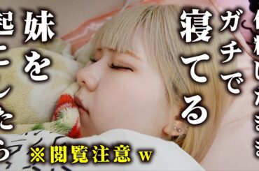 ガチで寝てる妹を起こしたら…化粧したまま寝てたのでいろんな方法で起こしてみたら…【のえのん】