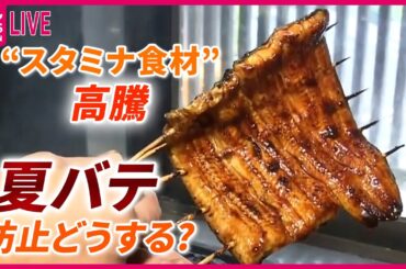 【夏バテまとめ】“スタミナ食材”高騰  豚も夏バテで生育不良、ニンニクも…  / 「猛暑日」 熱帯夜続く  夏バテ予防も高騰…より安い“夢のうなぎ”とは？　など （日テレニュース LIVE）