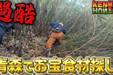 【青森】山奥にハンターが大集合！険しい山に入り狙う絶品食材【秘密のケンミンSHOW極公式|2024年7月4日 放送】