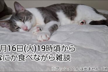 なにか食べながら雑談