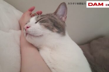 ルル　歌ってみた