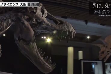 小坂菜緒 DinoScience 恐竜科学博が関西初上陸！金土日・祝は19:30まで 恐竜くん、小坂菜緒さん(日向坂46)の音響ガイドもオススメです！