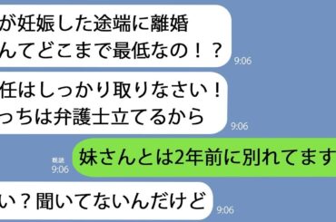 【LINE】義姉から怒りの連絡｢妊娠した妹を捨てるなんて最低！｣→訳が分からないので状況を説明するととんでもない秘密が明らかになって…【総集編】