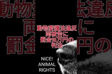 【動物倫理観】動物保護施設職員の暴行