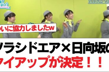 【超朗報】ソラシドエア×日向坂のタイアップが決定！！！【日向坂で会いましょう】#日向坂46 #日向坂で会いましょう #乃木坂46 #櫻坂46