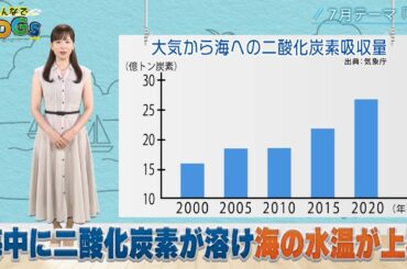 みんなでSDGs #16 |2024年7月18日放送