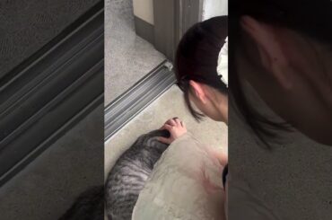 「2024.07.18」伊勢鈴蘭