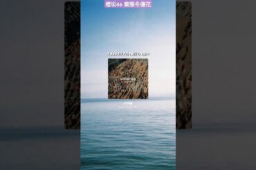 齋藤冬優花 #本日の1曲 ♪#35 back number 水平線 2024年7月16日