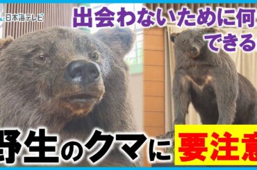 【出没が相次ぐ野生のクマ…】ハイキングコースや通学路でも目撃　アウトドアが増えるこれからの季節に正しいクマ対策を