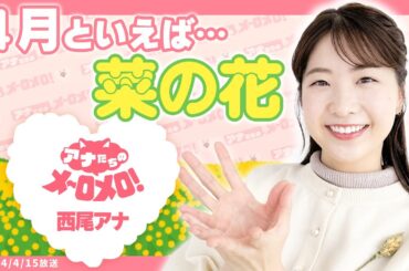 【西尾菜々美アナ】菜々美が菜々美の理由