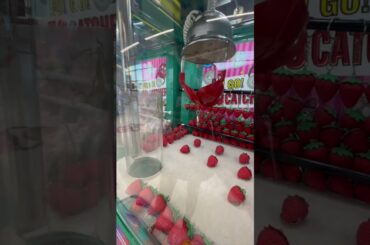 足が長いとクレーンゲームする時こうなります。